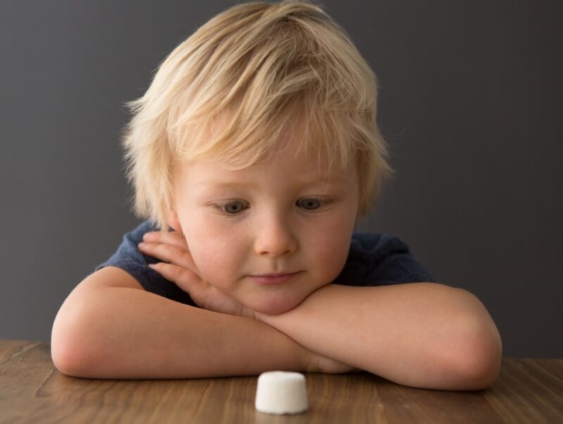 A small boy stares at a marshmallow on a table