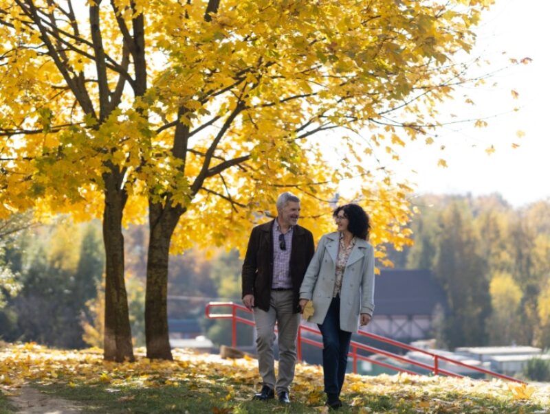 couple walking in the park