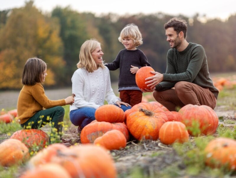 Family together in a pumpkin patch field